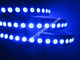 digitales reines Blau geführter Streifen 5050 fournisseur