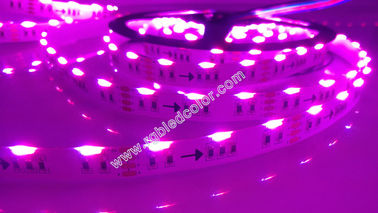 China des Streifenlichtes 5m 300led 14.4w rgb führte ausstrahlendes geführtes Mehrfarbenseitenflex Bandlicht fournisseur
